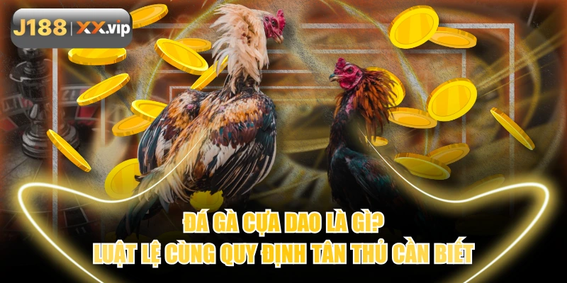 Đá Gà Cựa Dao Là Gì? Luật Lệ Cùng Quy Định Tân Thủ Cần Biết