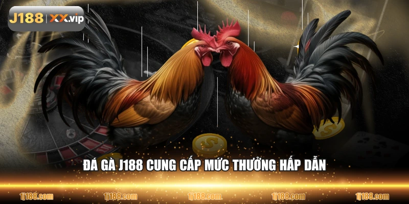 Đá gà J188 cung cấp mức thưởng hấp dẫn
