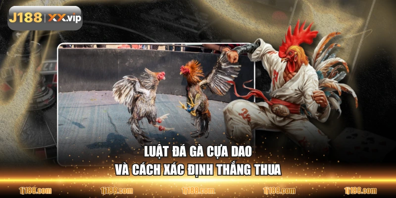 Luật đá gà cựa dao và cách xác định thắng thua