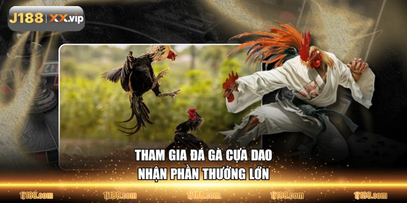 Tham gia đá gà cựa dao nhận phần thưởng lớn