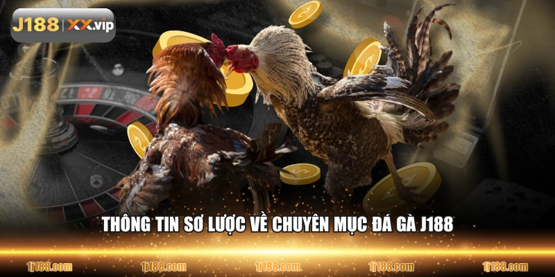 Thông tin sơ lược về chuyên mục đá gà J188